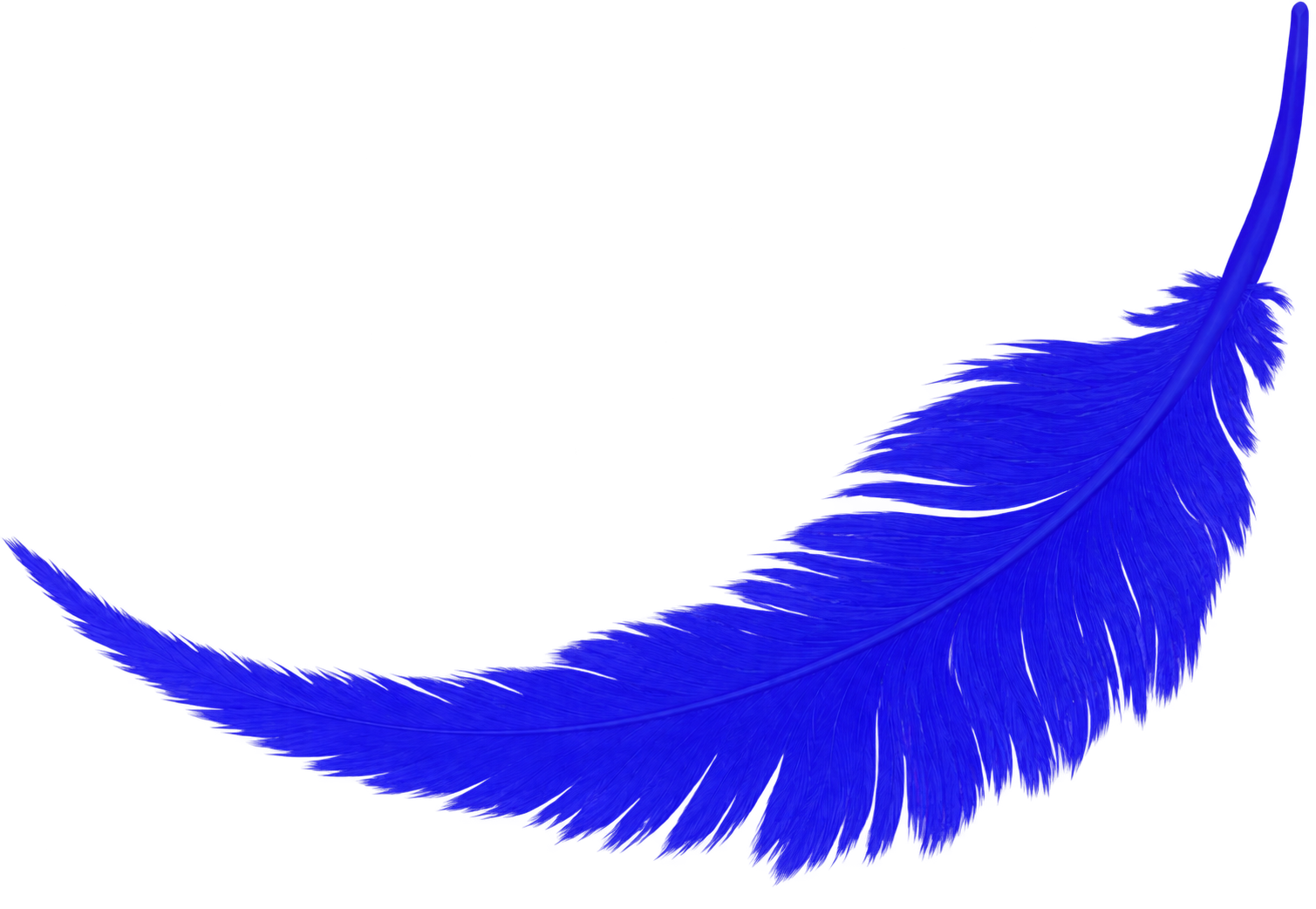 Blue Feather Pixels blue feather illustration
